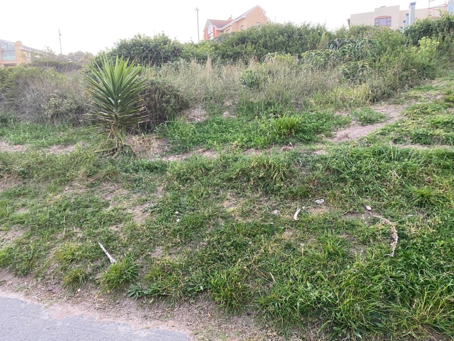 0 Bedroom Property for Sale in Reebok Western Cape